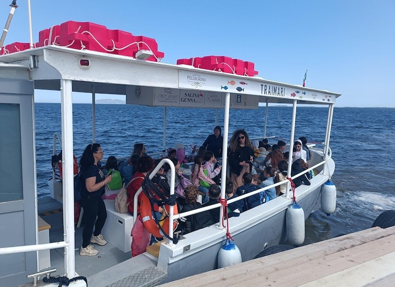 Picture 11 for Activity Boat transfer to the island of Mothia and visit to the Whitaker Museum 3