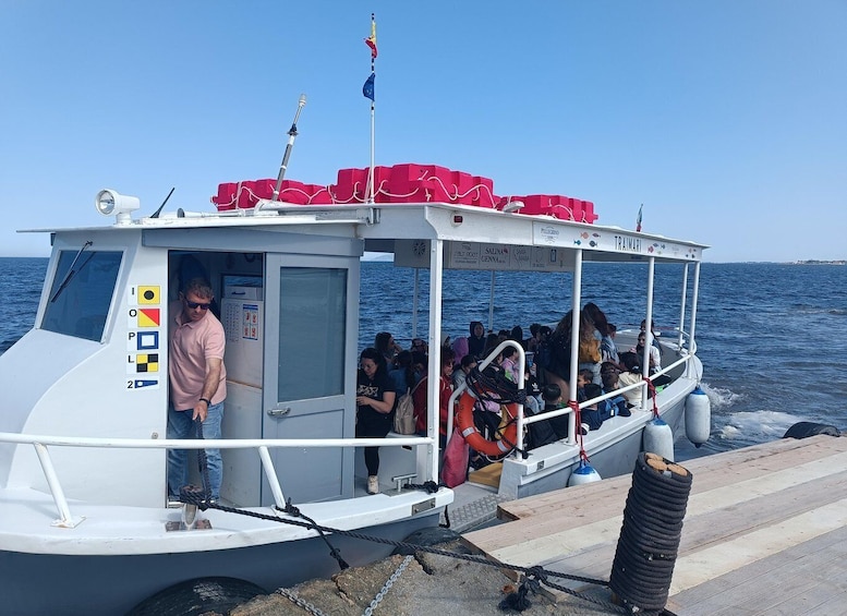 Picture 10 for Activity Boat transfer to the island of Mothia and visit to the Whitaker Museum 4