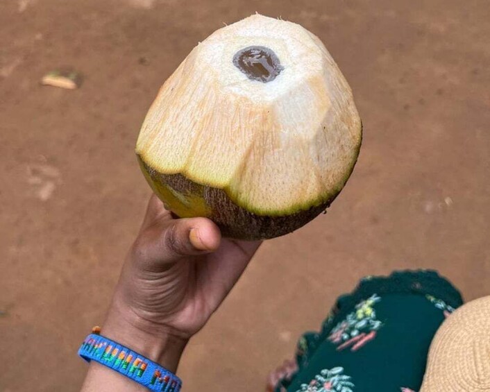 A hand holding a coconut with a brown top and a yellow bottom. 1