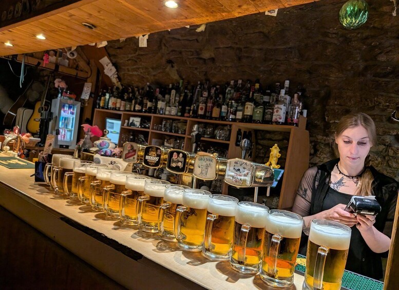 Pilsen: Beer & Spirit Tasting Tour 1