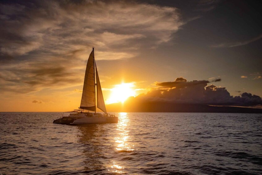 Punta Cana: VIP Saona Island Beach club & Sunset Catamaran 2