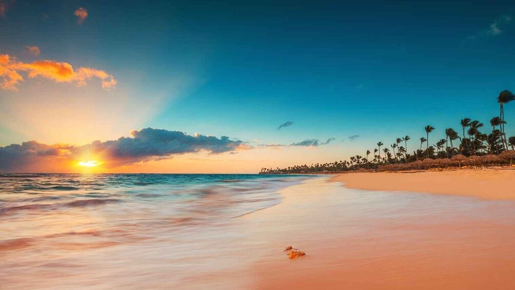 Picture 5 for Activity Punta Cana: VIP Saona Island Beach club & Sunset Catamaran 5
