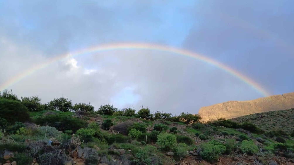A landscape with a rainbow arching over a rocky hill and sparse vegetation. 5