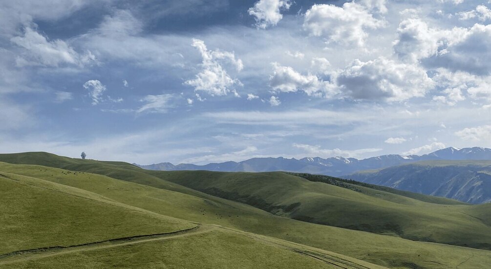 Rolling green hills with a solitary figure in the distance, under a partly cloudy sky. 3