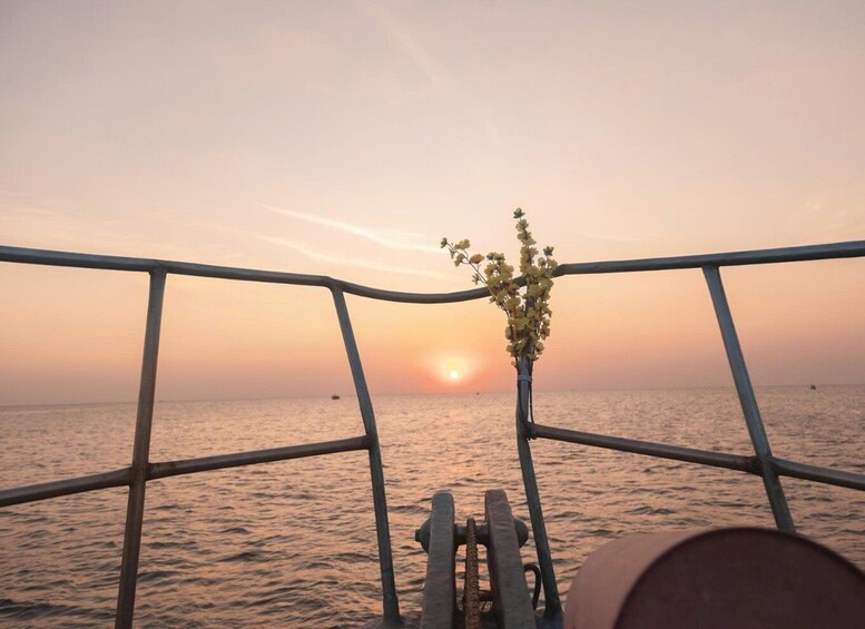 Picture 8 for Activity RedRiverTours - Enjoying Sunset & Night Squid Fishing 5