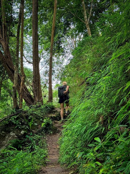 Picture 49 for Activity Chiang Mai: Hidden Nature Trekking & Bamboo Rafting Day Tour 2