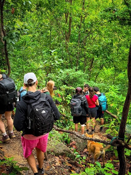 Picture 33 for Activity Chiang Mai: Hidden Nature Trekking & Bamboo Rafting Day Tour 5