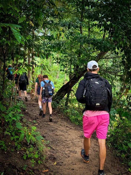 Picture 21 for Activity Chiang Mai: Hidden Nature Trekking & Bamboo Rafting Day Tour 1