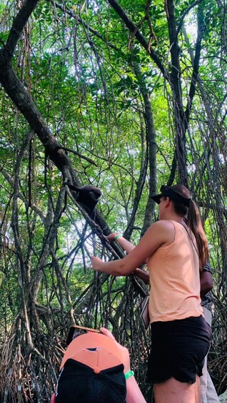Picture 10 for Activity Bentota: 2hr Wood Carving Workshop & 1hr River Boat Safari 4