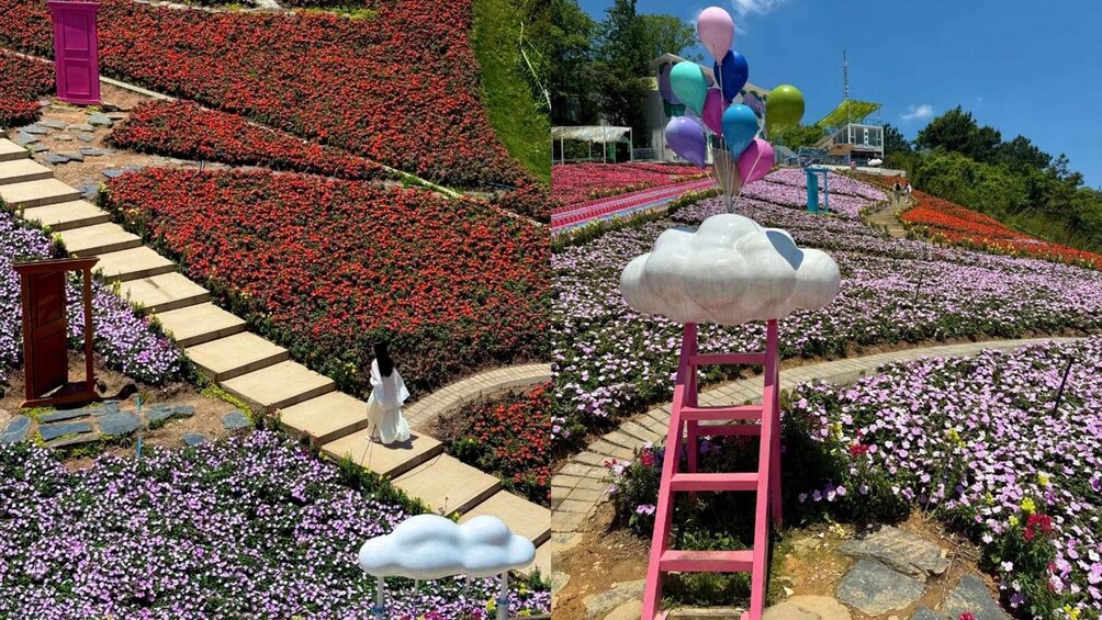 A garden with colorful flower beds, a pink ladder, and a white cloud sculpture. 3