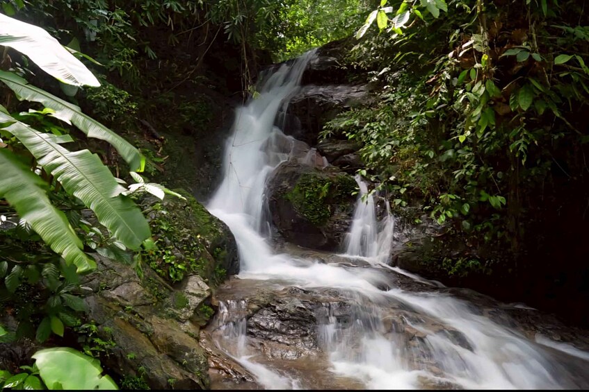A waterfall cascading over rocks in a lush, green forest. 4
