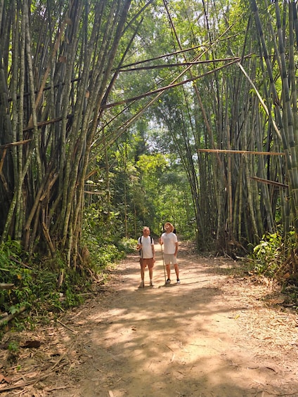 Picture 34 for Activity Khaosok: Jungle Walk & Bamboo Rafting with Local Market 5