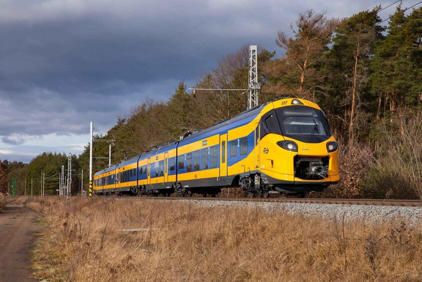 Discover Efteling with train+bus ticket to/from Rotterdam 1