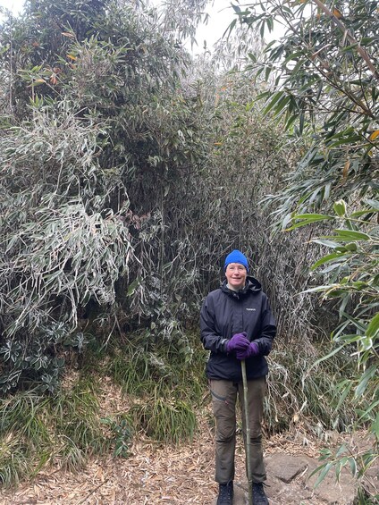 A person standing in a dense, bushy area with various plants and trees. 2