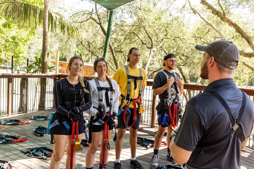 Picture 7 for Activity Currumbin: High Ropes and Zipline Adventure Park 4