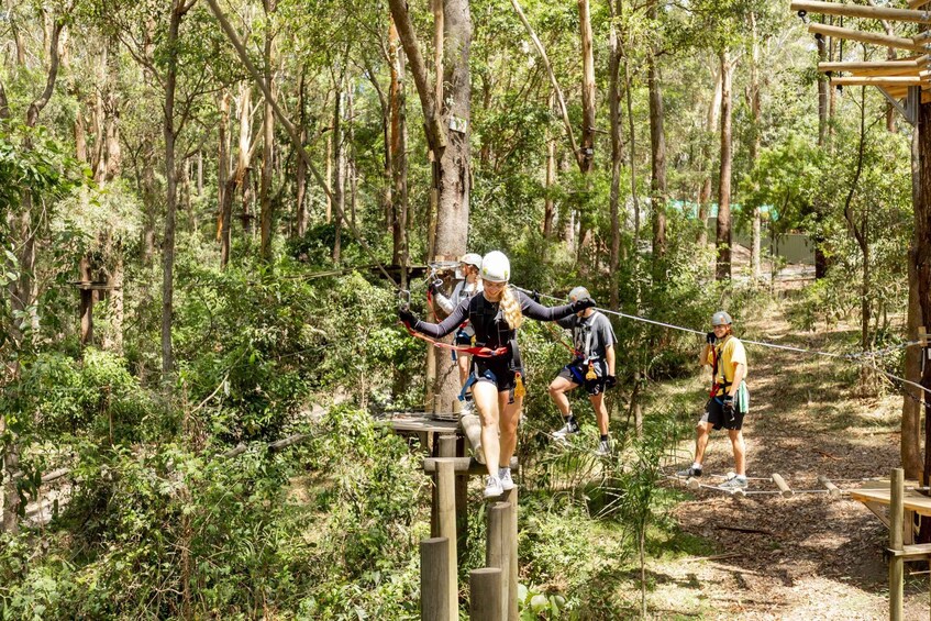 Picture 6 for Activity Currumbin: High Ropes and Zipline Adventure Park 5