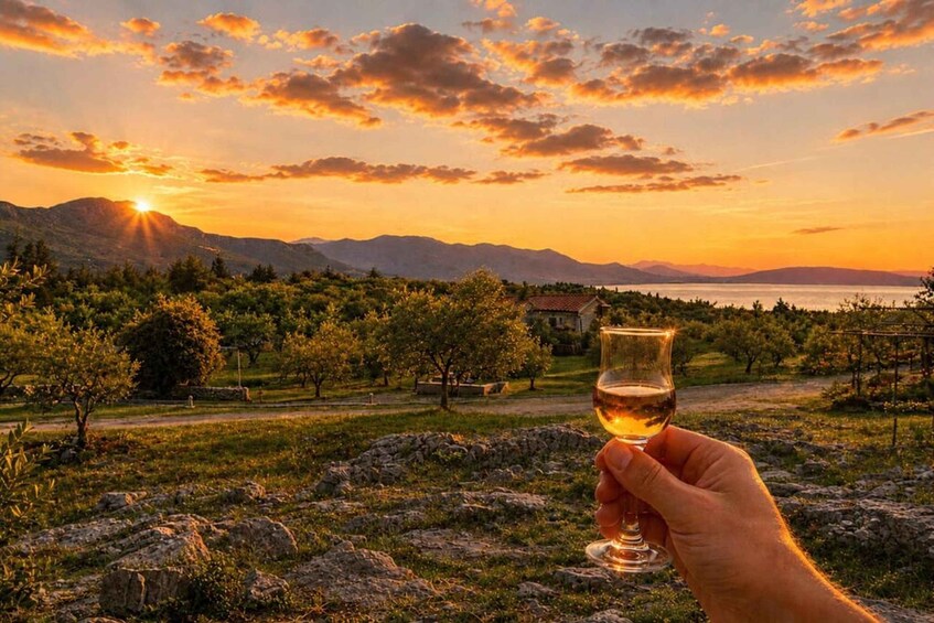 A hand holding a wine glass with a sunset in the background. 2