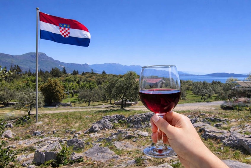A hand holding a glass of red wine, a Croatian flag, and a mountainous landscape. 1