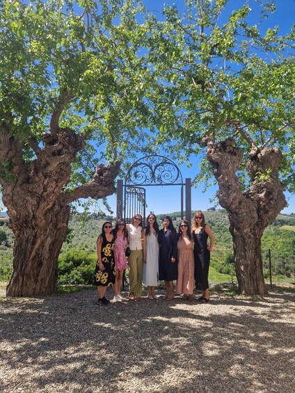 A group of people standing under a metal archway with a tree on either side. 2