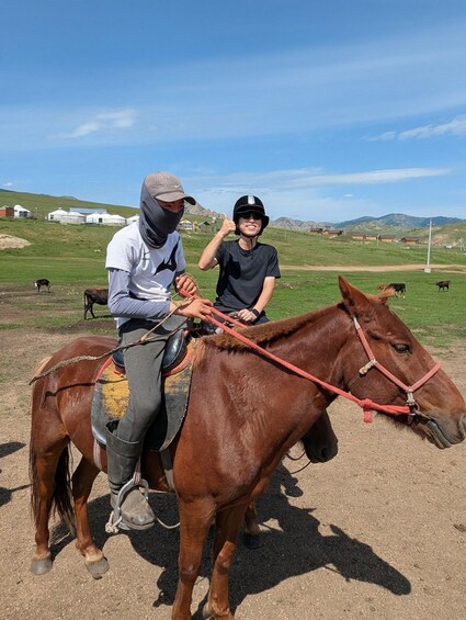 A person riding a horse in a grassy field with a few cows in the background. 1