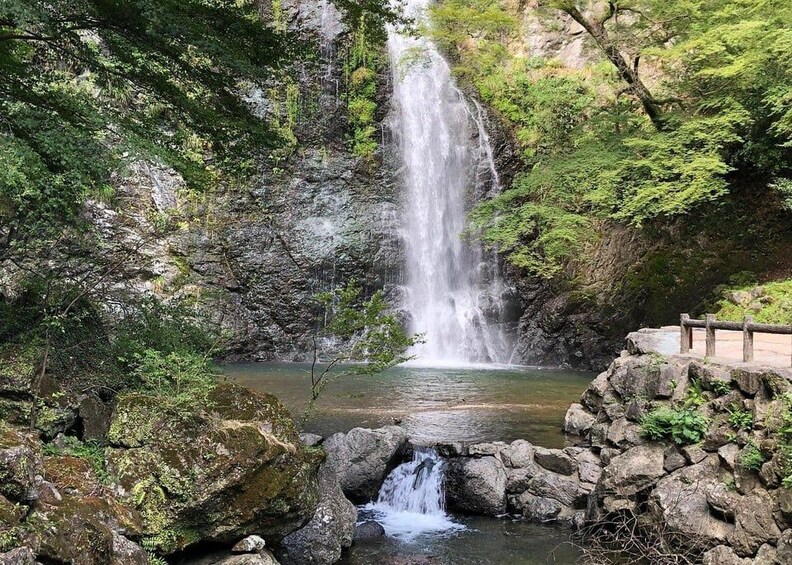 A waterfall cascading into a pool surrounded by rocks and greenery. 5