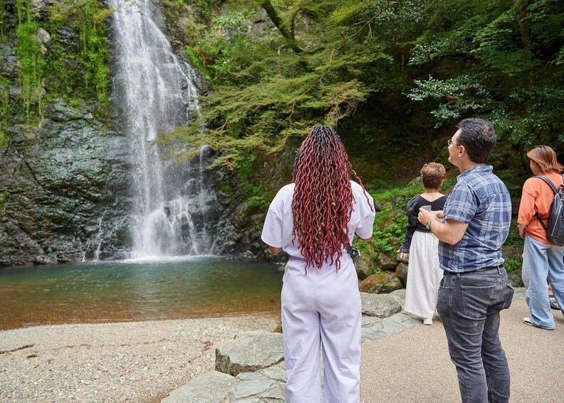 A waterfall, a rocky terrain, and people observing the scenery. 2