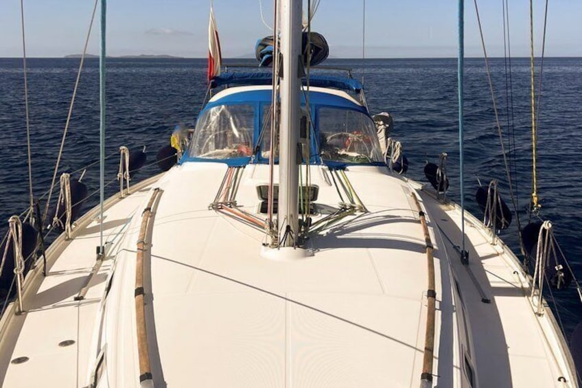Sailing tour with dolphins Golfo Aranci Tavolara Molara 5