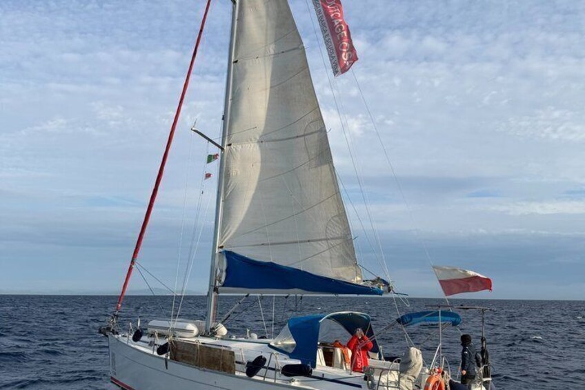 Golfo Aranci day sailing all inclusive with dolphins 2