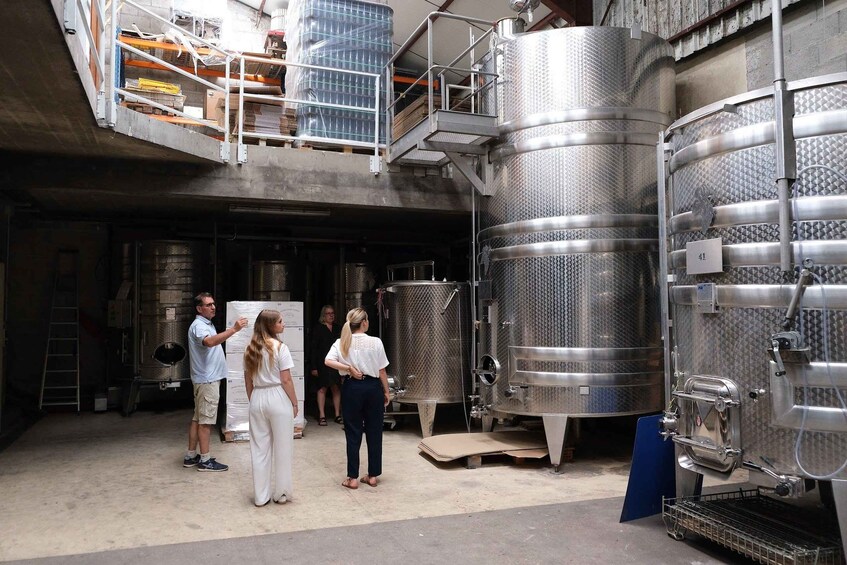 Chablis: Visit and tasting at a family-run boutique winery 1
