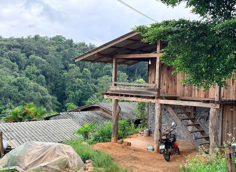 Picture 31 for Activity Chiang Mai: Hidden Waterfalls & Nature Hiking Adventure 3