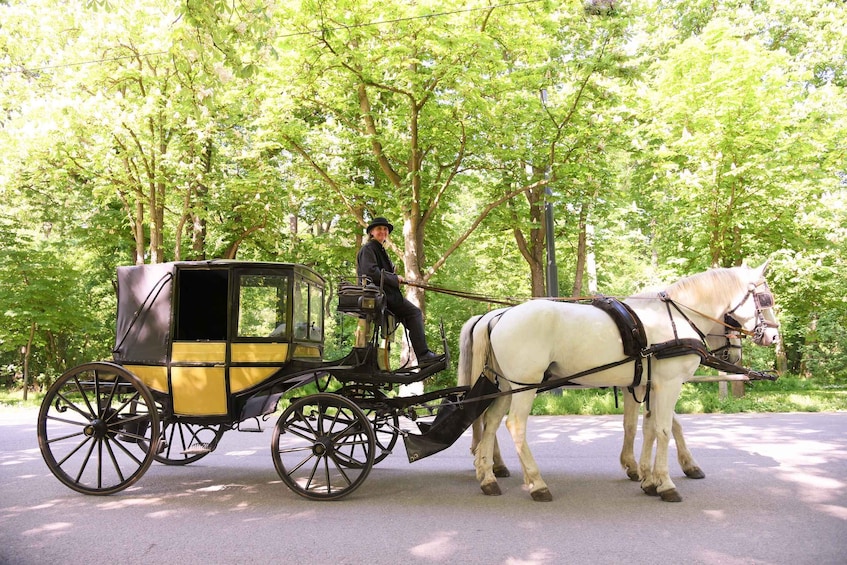 A horse-drawn carriage with a driver on a paved road surrounded by trees. 1