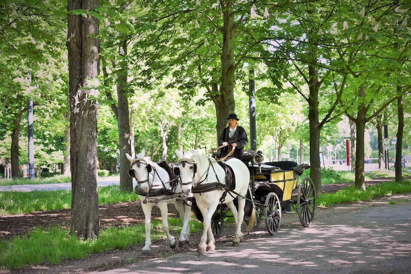 A horse-drawn carriage with a driver, horses, and a cart on a tree-lined path. 3