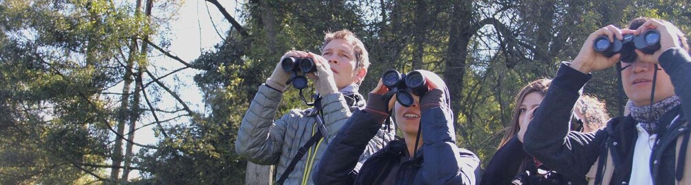 People using binoculars outdoors. 2