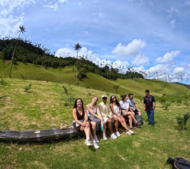 Picture 5 for Activity Cocora Valley trekking and Salento tour 3