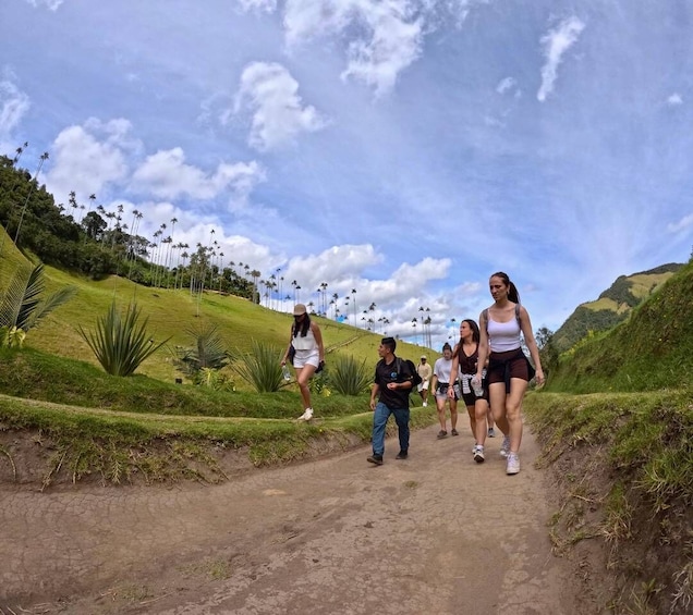 Cocora Valley trekking and Salento tour 1