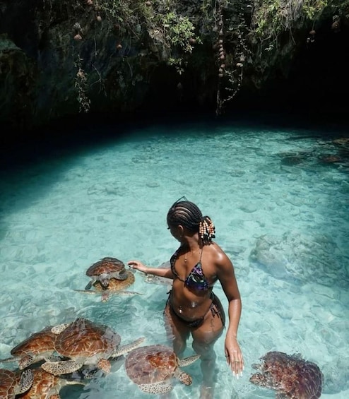 A person in clear water with sea turtles. 4