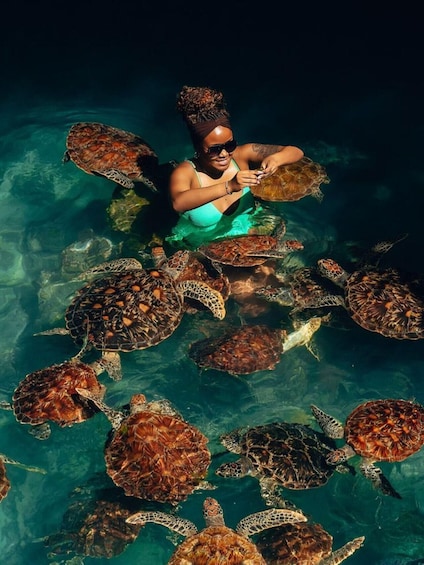 A person swimming with sea turtles. 5