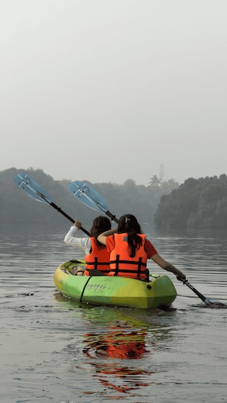 Picture 3 for Activity Kayaking in Backwaters of Pondicherry 3