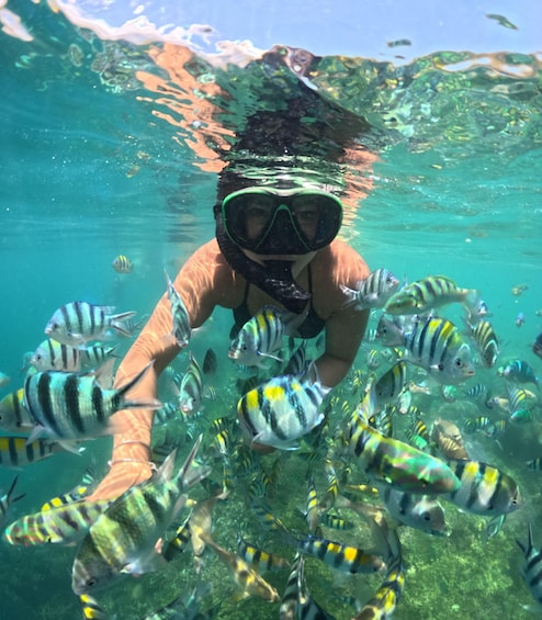 Picture 4 for Activity West Lombok: Gili Nanggu, Gili Sudak and Gili Kedis 2
