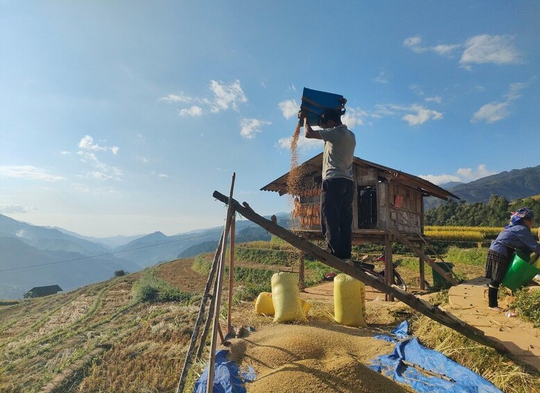 Picture 3 for Activity Half Day Private Trekking Mu Cang Chai_Morning or Afternoon 3