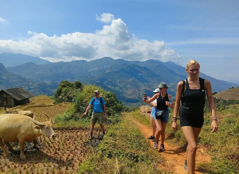 Picture 18 for Activity Half Day Private Trekking Mu Cang Chai_Morning or Afternoon 2