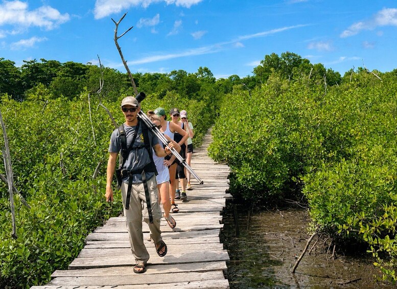 A group of people walking on a wooden boardwalk through a mangrove forest. 2