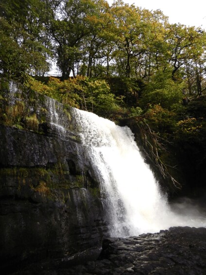 A waterfall cascading over a rocky cliff surrounded by lush green trees. 3