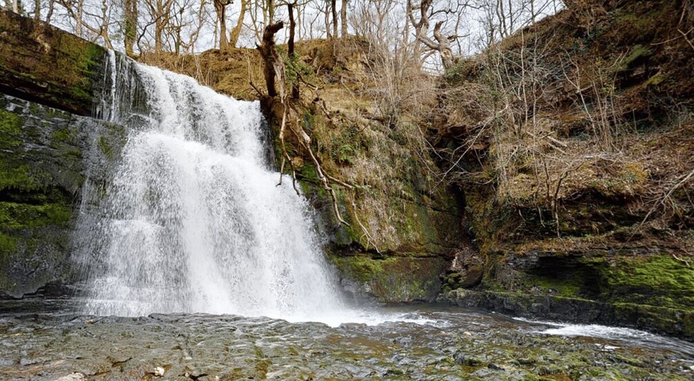 A waterfall cascading over moss-covered rocks in a forested area. 2
