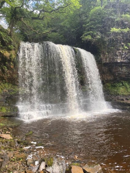 A waterfall cascading over rocks into a river surrounded by dense forest. 1