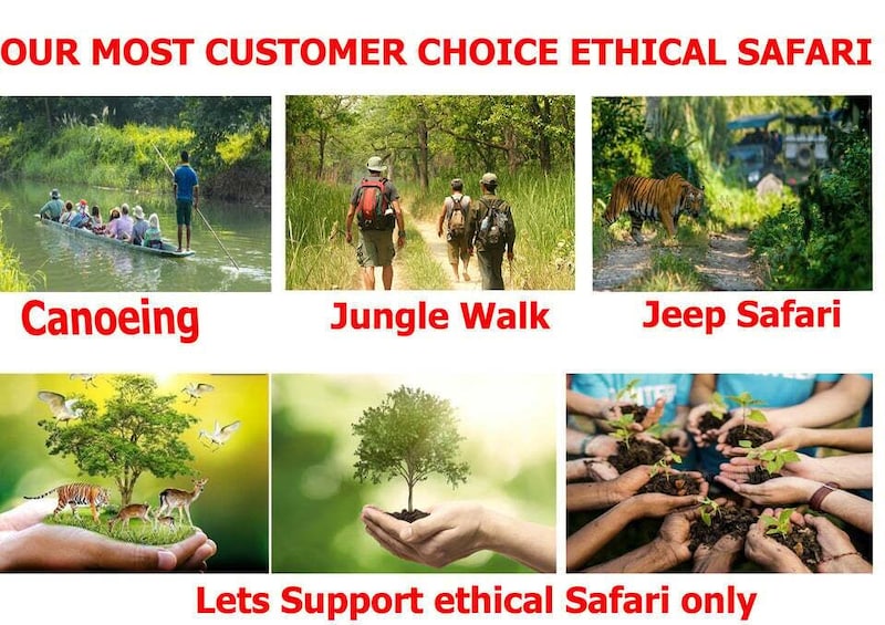 A canoeing activity, a jungle walk, and a jeep safari. 1