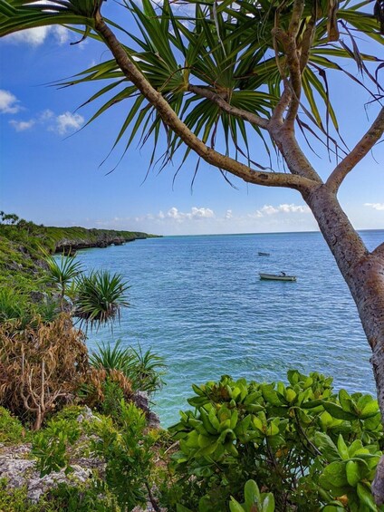 A coastal landscape with a tree in the foreground, a boat on the water, and a clear sky. 5