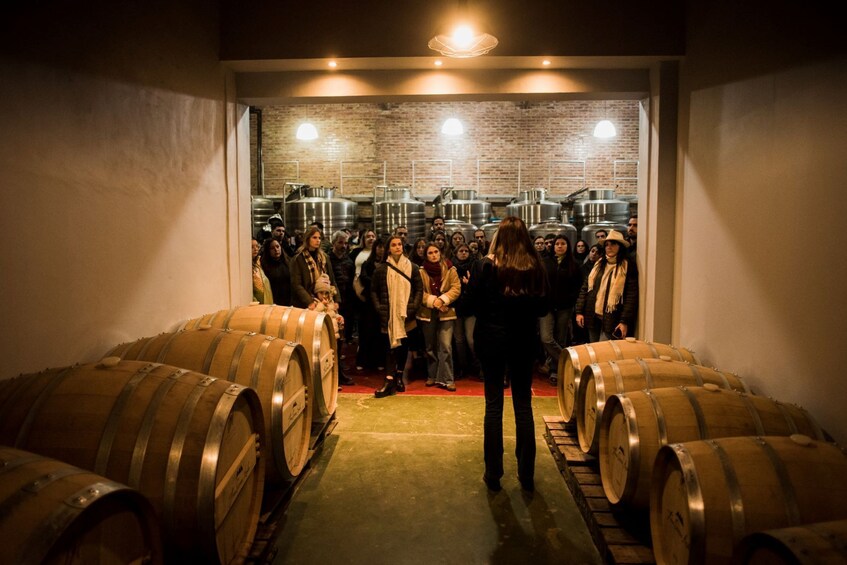 From San Juan: Dams and Creeks with Lunch at Finca Sierras Azules Winery 5