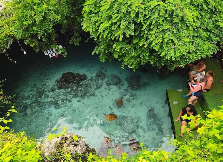 A clear pool surrounded by lush greenery, with people relaxing on the edge. 1