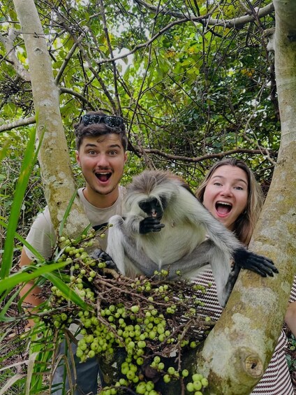 A person interacting with a monkey in a forested area. 2
